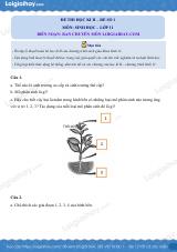 Đề số 1 – Đề kiểm tra học kì 2 – Sinh 11